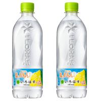 2ケースセット 夏季限定　送料無料 (地域限定)　い・ろ・は・す 塩とれもん 540ml PET × 24本 ＋2箱48本セット いろはす イロハス コカ・コーラ Coca-Cola | REPEX