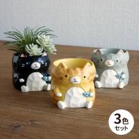 ミニ 植木鉢 リトルレジンポット ネコ 猫 3種セット 穴なし 1号ポット用鉢カバー 1寸用 かわいい おしゃれ 屋外 屋内 ガーデニング 雑貨 小物入れ | リポーズジョイ