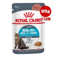 デビフ カロリーエース プラス 猫用 ムースタイプ 65g 12コセット デビフ D B F キャットフード 爽快ドラッグ 通販 Yahoo ショッピング