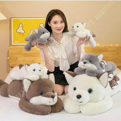 シベリアンハスキー　特大ぬいぐるみ Amazon｜ぬいぐるみ 動物 イヌ 特大 縫い包み プレゼント