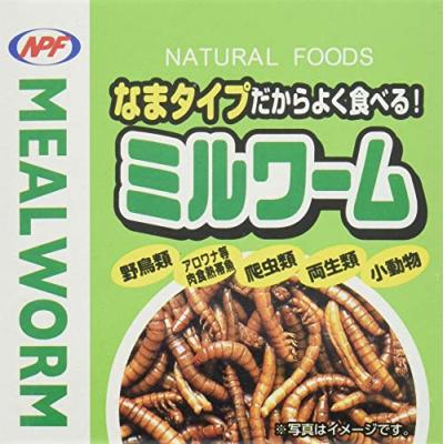 ミルワーム　生タイプ　35g×24箱入 缶詰ミルワーム） 生タイプ 35g - 爬虫類専門店 ふくみず