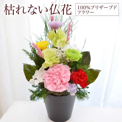 Reve ヤフーShop - プリザーブドフラワーのアレンジ｜Yahoo!ショッピング