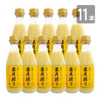 青切り 山原シークワーサー 葉月搾り 300ml×11本セット 送料無料 山原シークヮーサー 沖縄産 シークワーサー 果汁100%  ストレート | 琉球フロントOnlineshop