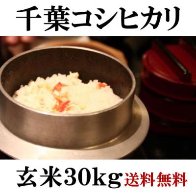新潟米 白米30kg 米 令和6年 新潟産 米 30kg 送料無料 新潟米 業務用 白米 30kg