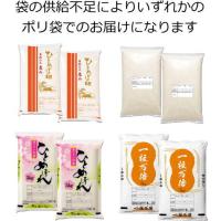 【売り尽くし】 令和6年産 宮城県産 ひとめぼれ 白米限定 10kg (5kg×2袋) デザインポリ袋 期間限定 送料無料 沖縄県送料3,000円
