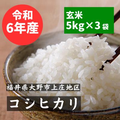 26046382_1