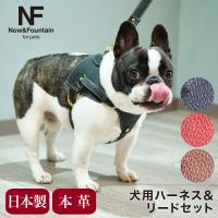 エヌアンドエフ ペット ハーネス＆リードセット 小型犬 ハーネス ボディベルト リード レザー 本革 日本製 N＆F for pets TYPE-A ナチュラル | リチャードYahoo!店