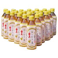 JAはくい 能登のはとむぎ茶 500ml×24本 ペットボトル | リークー