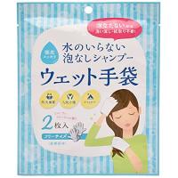 水のいらない泡なしシャンプー ウェット手袋（2枚入） 3個セット | リークー