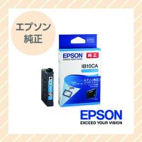 EPSON 純正 インク プリンターインク インクカートリッジ カードケース シアン IB10CA エプソン | アールアイジャパンダイレクト