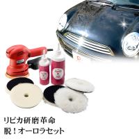 ポリッシャー 電動 カーポリッシャー 車 充電式 コードレス 3 洗車の王国 通販 Yahoo ショッピング