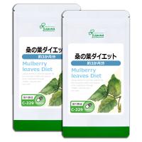 桑の葉ダイエット 約3か月分×2袋 C-229-2 サプリメント ダイエット | サプリメント専門店リプサ