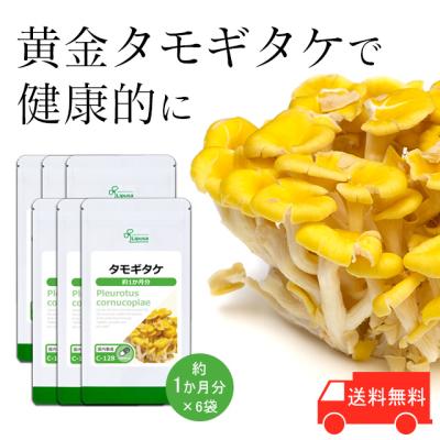たもぎ茸 サプリメントの商品一覧 通販 - Yahoo!ショッピング たもぎ茸 サプリメントの商品一覧 通販 - Yahoo!ショッピング