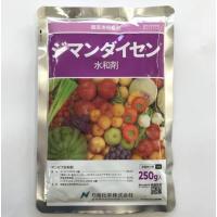 ジマンダイセン水和剤 250g 殺菌剤 総合防除 玉ねぎ バラ イチゴ サビダニ ハダニ類 オンシツコナジラミ スリップス | ロケットマート