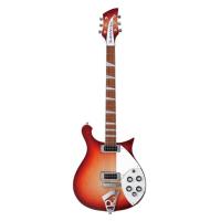 2020年製Rickenbacker 620ハードケース鍵付きストラップピン 2020年製Rickenbacker 620ハードケース鍵付きストラップピン