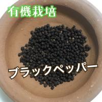 Gaban ブラックペッパーホール 100g 黒胡椒 ペッパー 胡椒 スープ 煮込み 調味料 ギャバン 食卓応援隊 通販 Yahoo ショッピング