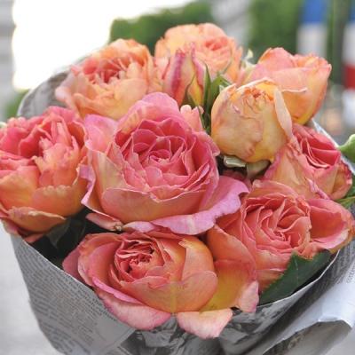 バラ専門店 ザ・ローズショップ - 複色系のバラ｜Yahoo!ショッピング