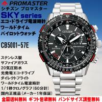 シチズン プロマスター PROMASTER エコドライブ電波 パイロット
