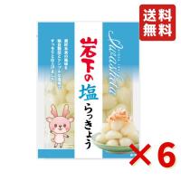 岩下 岩下の塩らっきょう 90g 6袋 岩下食品 塩らっきょう カレー トッピング 漬物 食べきりサイズ おつまみ 送料無料 らっきょう | 業務用食品問屋アールズ