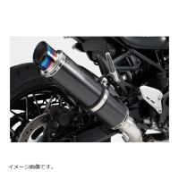 ビームスモーターカンパニー R-EVOIIスリップオン カーボンサイレンサー Z900RS | バイク・車パーツ ラバーマーク