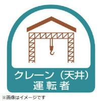 ヘルメット用ステッカー  クレーン（天井運転者・2枚1シート・35X35 851-64 ユニット ヘルステ | 資材・印刷のルネ