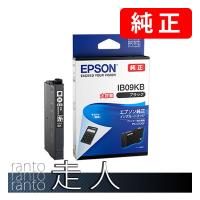 EPSON エプソン 純正品 IB09KB ブラック 純正インク | 走人