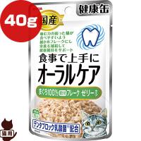 国産 健康缶パウチ 食事で上手にオーラルケア まぐろ100％細かめフレーク ゼリータイプ 40g アイシア ▼a ペット フード 猫 キャット ウェット AIXIA | RunPet ランペット