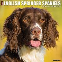 Just English Springer Spaniels 2024 Calendar 【並行輸入】 | ランシスストア
