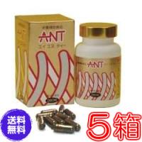 エイエヌティ（ＡＮＴ）　×超お得５箱セット　《ミネラル、蟻、ふしぶし、アリ加工食品、エイ・エヌ・ティー》 ※送料無料 | ル・リアン