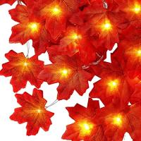 DERAYEE 秋の葉 ガーランド ハロウィン クリスマス 飾り 人工 紅葉 電池式 20個のLED 長さ3M ストリングライト ホーム 暖炉