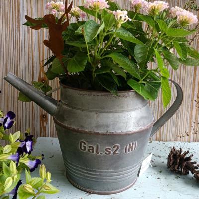 シャビーシック（植木鉢、プランター）｜園芸用品 | 花、ガーデニング