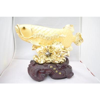 横浜中華街龍 - 【アロワナ（龍魚）】｜Yahoo!ショッピング