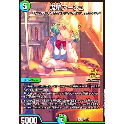 【最安値】 流星アーシュ プロモ シク シークレット 秘 流星アーシュのおすすめ人気ランキングTOP24 - Yahoo!ショッピング