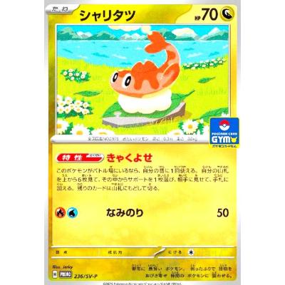 シャリタツarのおすすめ人気ランキングTOP100 - Yahoo!ショッピング