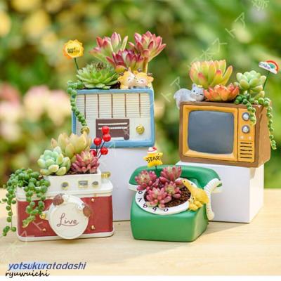 陶器鉢セット　塊根植物　浅鉢　深鉢 ヨコヤマ コーデックスアートギャラリー＜TOP＞ ～アガベ・塊根植物の