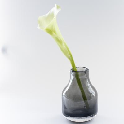 S-colour Living - Barbat XS バルバットXS｜Yahoo!ショッピング