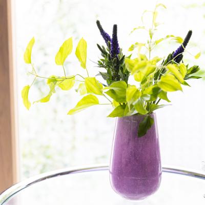 S-colour Living - Stromboli XS ストロンボリXS｜Yahoo!ショッピング