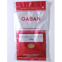 GABAN ギャバン ケイジャンシーズニング 100g×10袋（1ケース） | エスマート