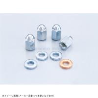 在庫あり KITACO キタコ 313-0600000 キャップナット&amp;ワッシャーSET | S-need