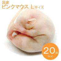 国産冷凍マウス    ピンクL  20匹　SAfarm 【冷凍エサ】 | SAfarm Yahoo!ショッピング店