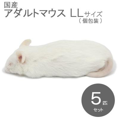 冷凍マウスのおすすめ人気ランキングTOP100 - Yahoo!ショッピング