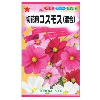 トーホク  切花用 コスモス 混合  白・桃・赤の混合  種  花壇 プランター 切花 たね タネ 種子 園芸 ガーデニング | 菜園ライフ