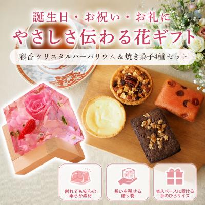 ✴︎琉球プリザモス✴︎ カラーサンプル｛パステルミックスセット