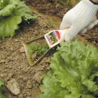 ドウカン オリジナル鍬 中耕くわ　もん太 DK-803 プレゼント おすすめ | 堺の刃物屋さんこかじ