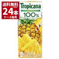 キリン トロピカーナ 100％パインアップル 250ml×24本(1ケース)[送料無料※一部地域は除く] | 酒やビックYahoo!ショッピング店