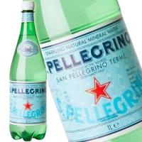ミネラルウォーター 正規輸入品 サンペレグリノ 500ml 1ケース 24本入 炭酸水 炭酸 送料無料 北海道 沖縄は送料1000円 クール便は800円加算 | サカツコーポレーション