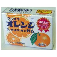 丸川製菓 20 オレンジマーブルガム 6粒 ×33 メーカー直送 | 総合通販PREMOA Yahoo!店