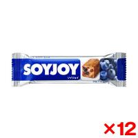 12個セット 大塚製薬 POC 2121 SOYJOY ブルーベリー味 | 総合通販PREMOA Yahoo!店