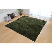 イケヒコ・コーポレーション 1280200121203 ラグ カーペット 2畳 無地 シャギー調 ラルジュ グリーン 約185×185cm ホットカーペット対応 メーカー直送 | 総合通販PREMOA Yahoo!店