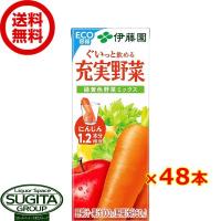 伊藤園 充実野菜 緑黄色野菜ミックス (200ml×48本(2ケース)) 野菜ジュース 小型パック 送料無料 倉庫出荷 | 酒のすぎた Yahoo!店